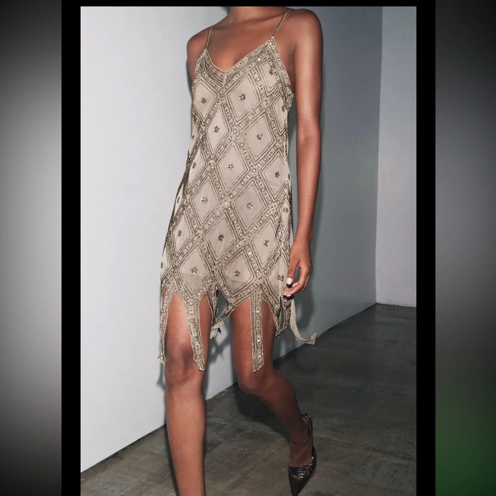 Zara limited edition EMBROIDERED TULLE Mini DRESS - Picture 10 of 15